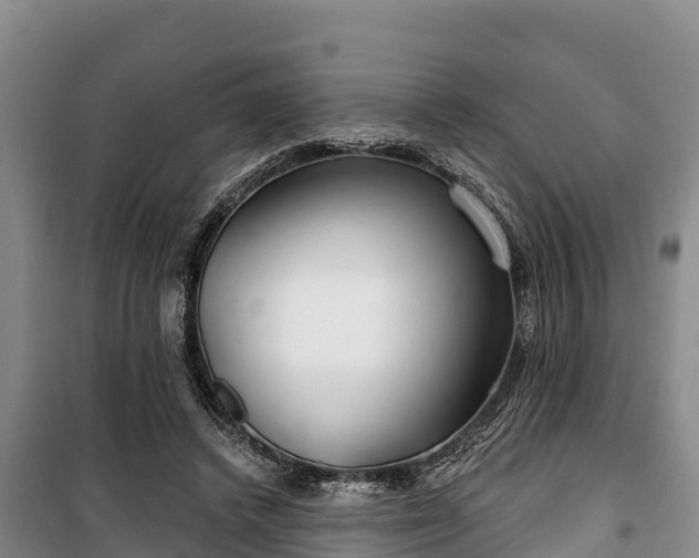 X0000100200448200806061326