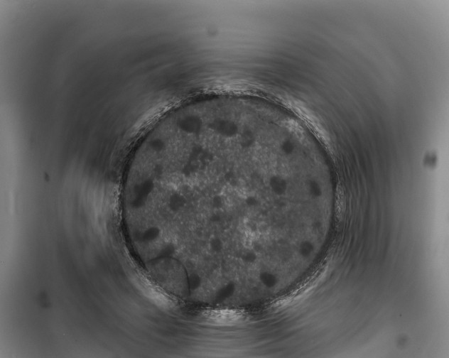 X0000100200449200806061326