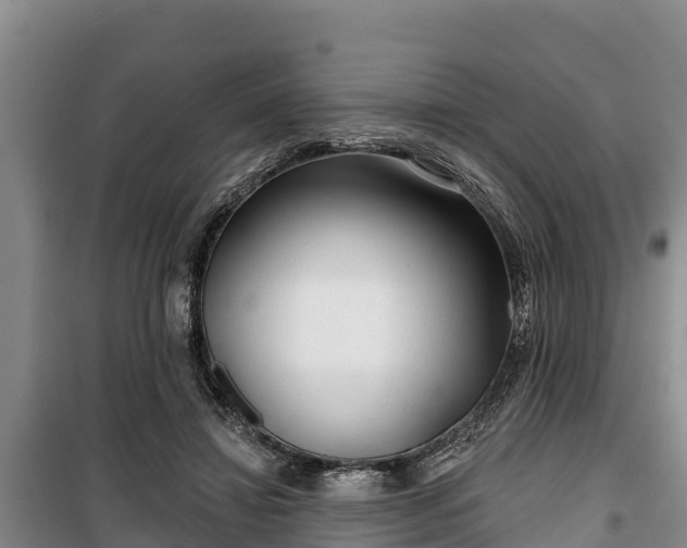 X0000100200452200806061326