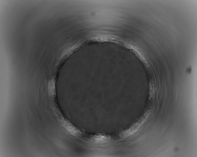 X0000100200453200806061326