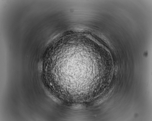 X0000100200454200806061326