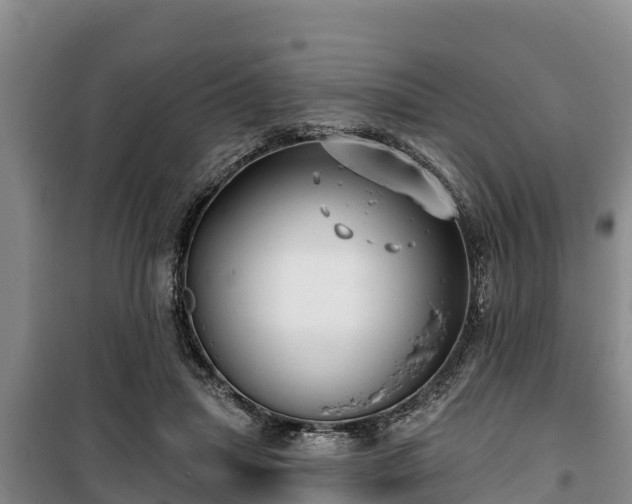 X0000100200455200806061326