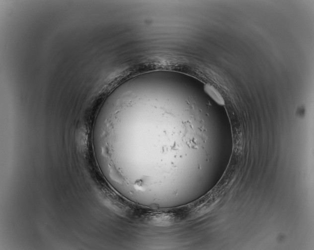 X0000100200456200806061326