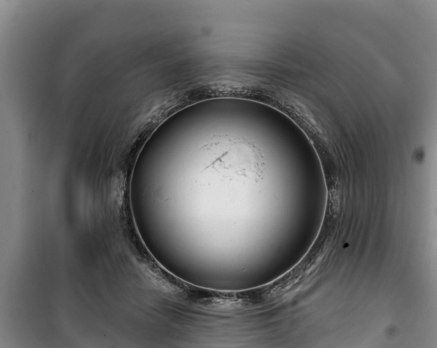 X0000100200458200806061326