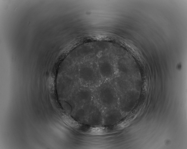 X0000100200461200806061326