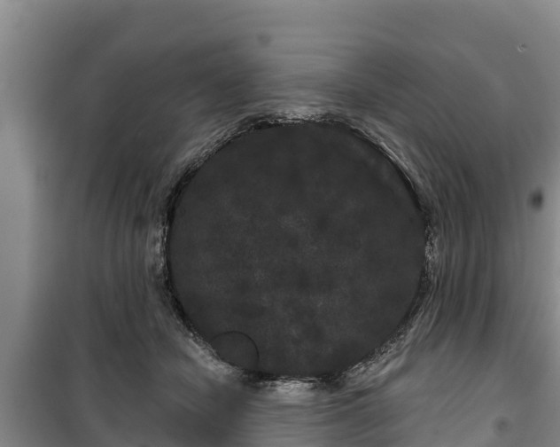 X0000100200462200806061326