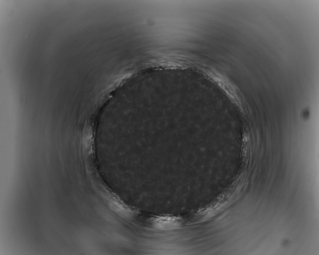 X0000100200465200806061326