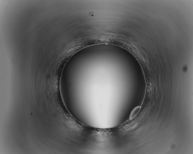 X0000100200466200806061326