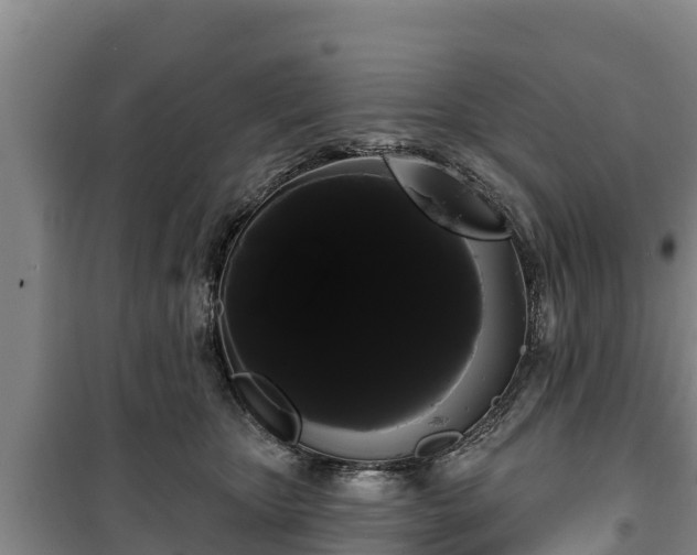 X0000100200467200806061326