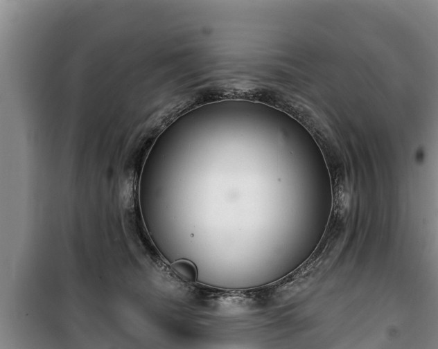 X0000100200468200806061326