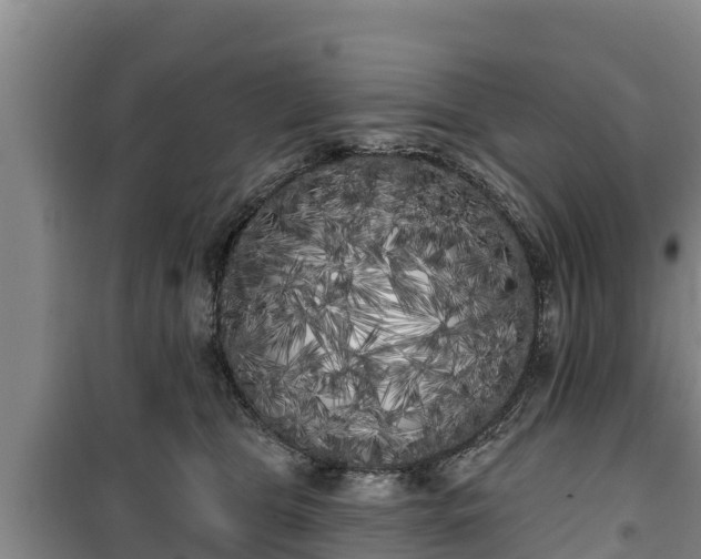 X0000100200469200806061326