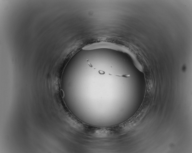 X0000100200470200806061326