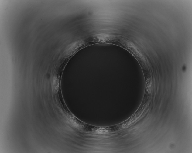 X0000100200471200806061326