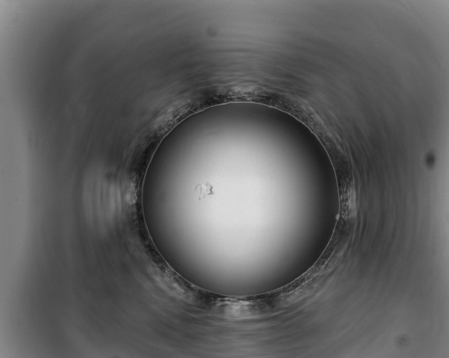 X0000100200472200806061326