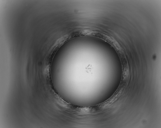 X0000100200473200806061326