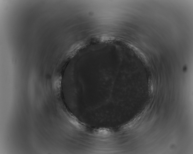 X0000100200475200806061326