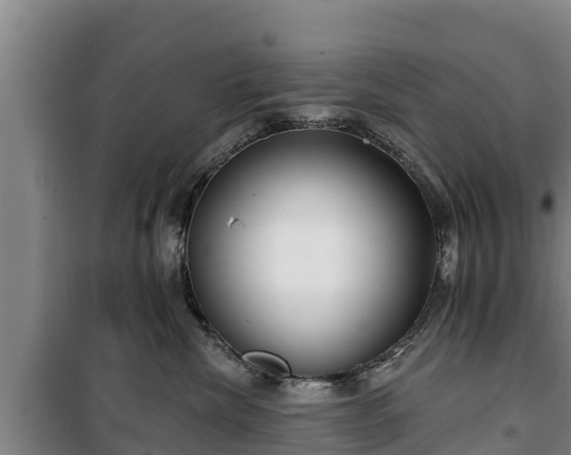 X0000100200476200806061326