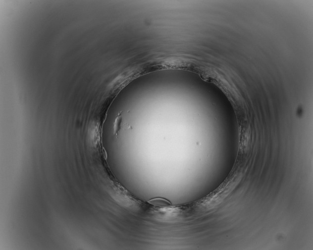 X0000100200478200806061326