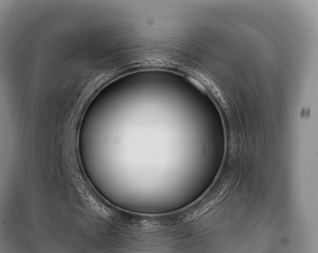 X0000100200481200806061326