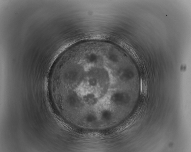 X0000100200483200806061326