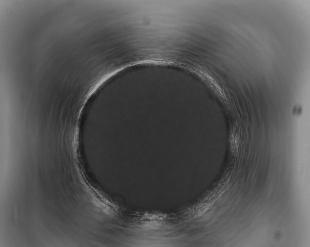 X0000100200484200806061326