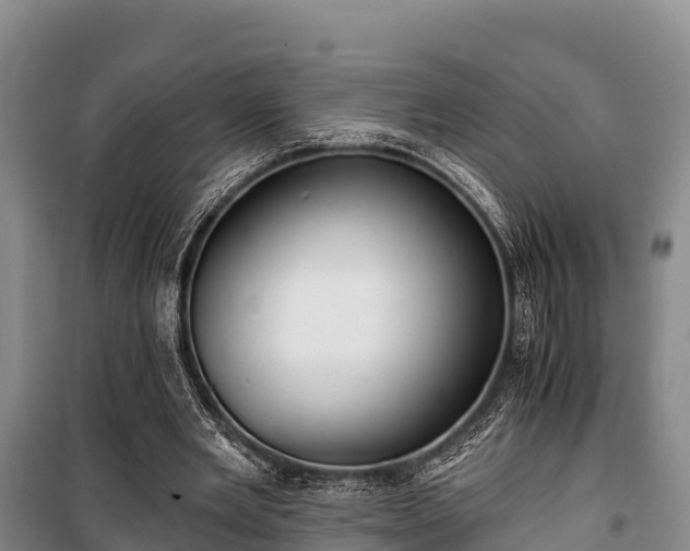 X0000100200485200806061326