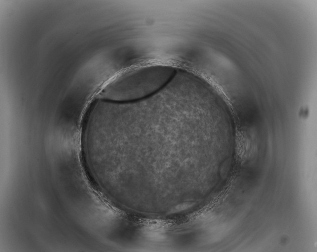 X0000100200486200806061326