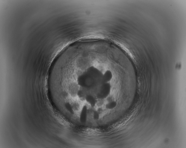 X0000100200487200806061326