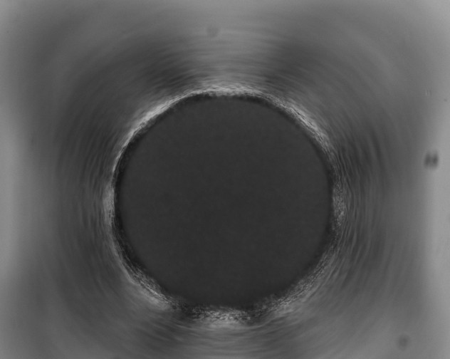 X0000100200488200806061326