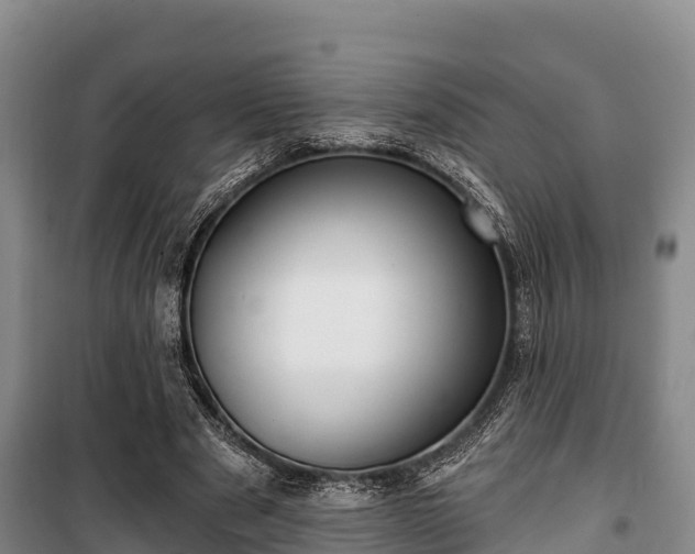 X0000100200489200806061326