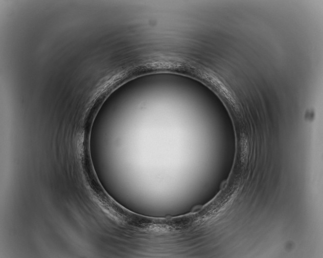 X0000100200490200806061326