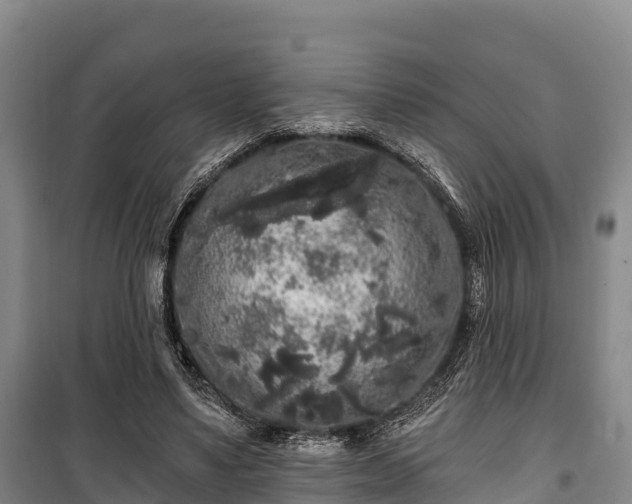 X0000100200491200806061326