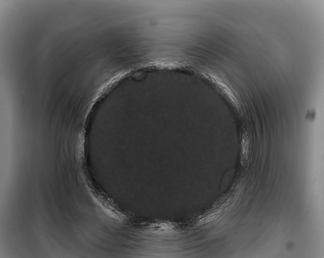 X0000100200492200806061326