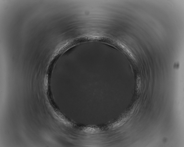 X0000100200494200806061325