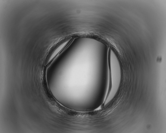 X0000100200495200806061325