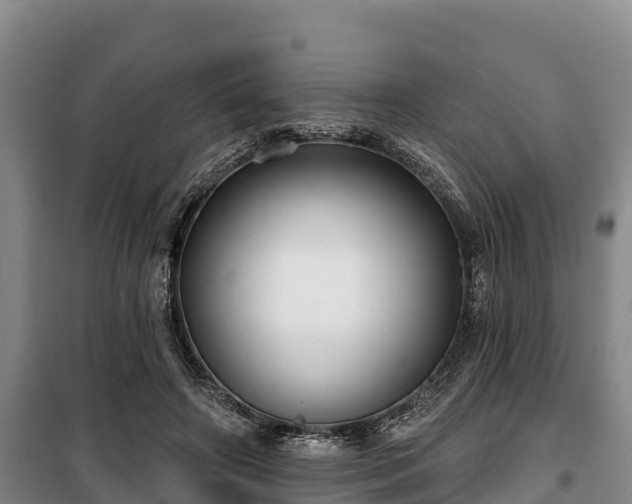 X0000100200498200806061325