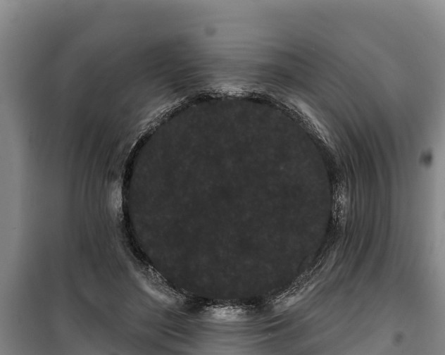 X0000100200500200806061325