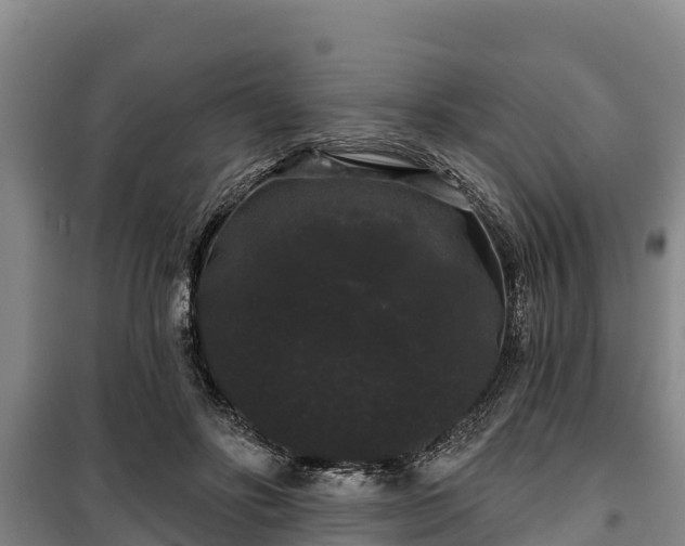 X0000100200502200806061325