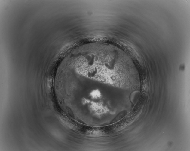 X0000100200503200806061325