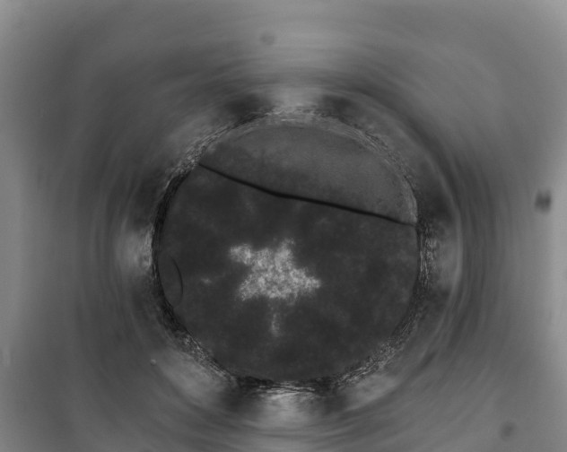 X0000100200504200806061325