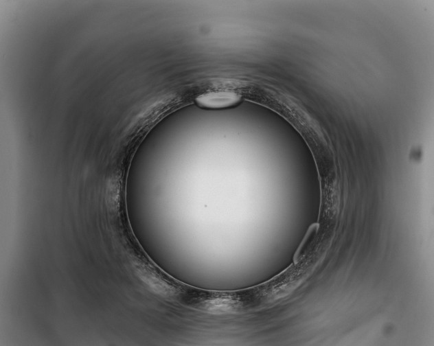 X0000100200505200806061325