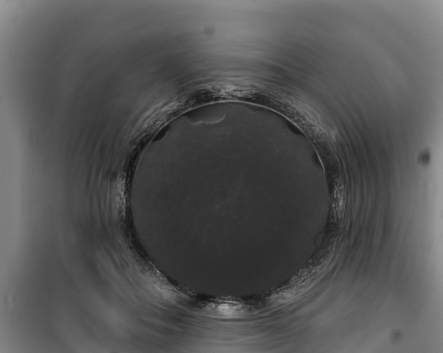 X0000100200506200806061325