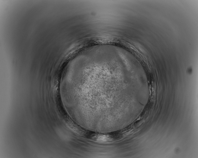 X0000100200507200806061325