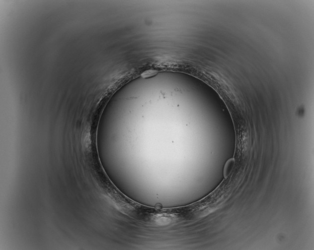 X0000100200508200806061325