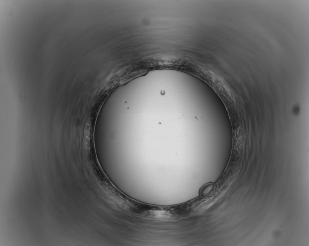 X0000100200509200806061325