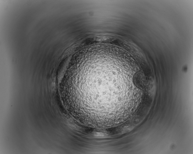 X0000100200510200806061325