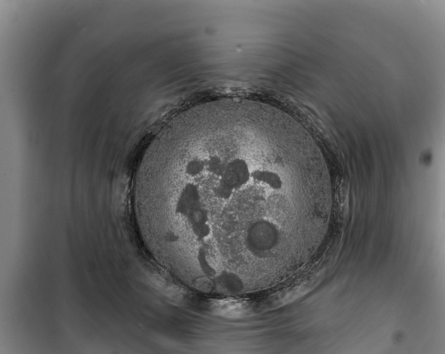 X0000100200511200806061325