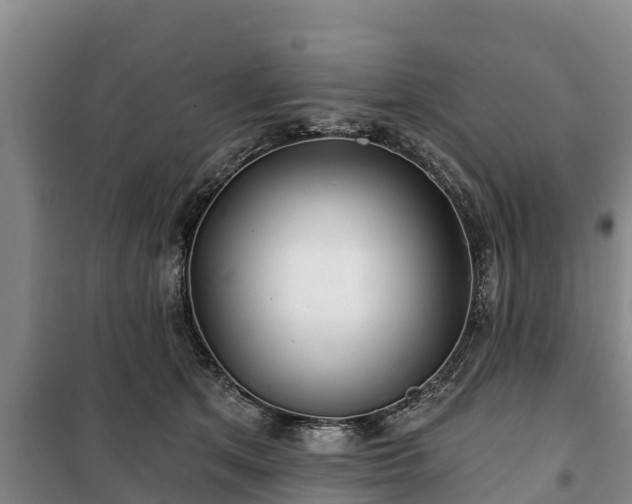 X0000100200513200806061325