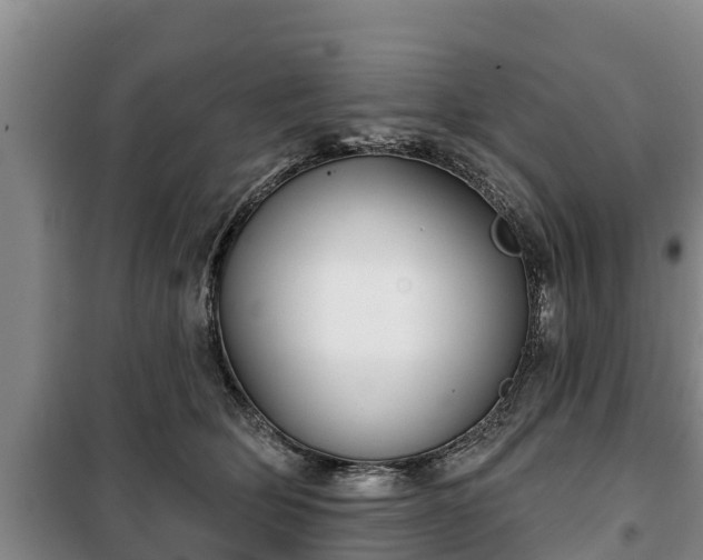 X0000100200514200806061325