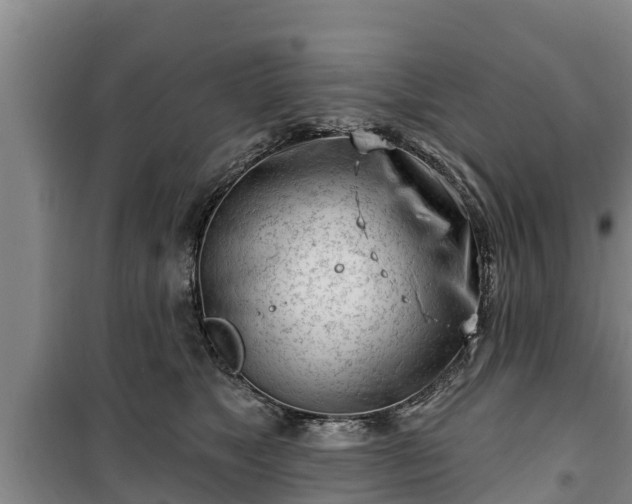 X0000100200517200806061325